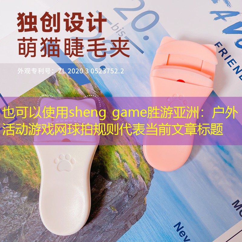 户外活动游戏网球拍规则